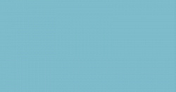 Your Color